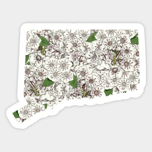 Connecticut in Flowers Sticker